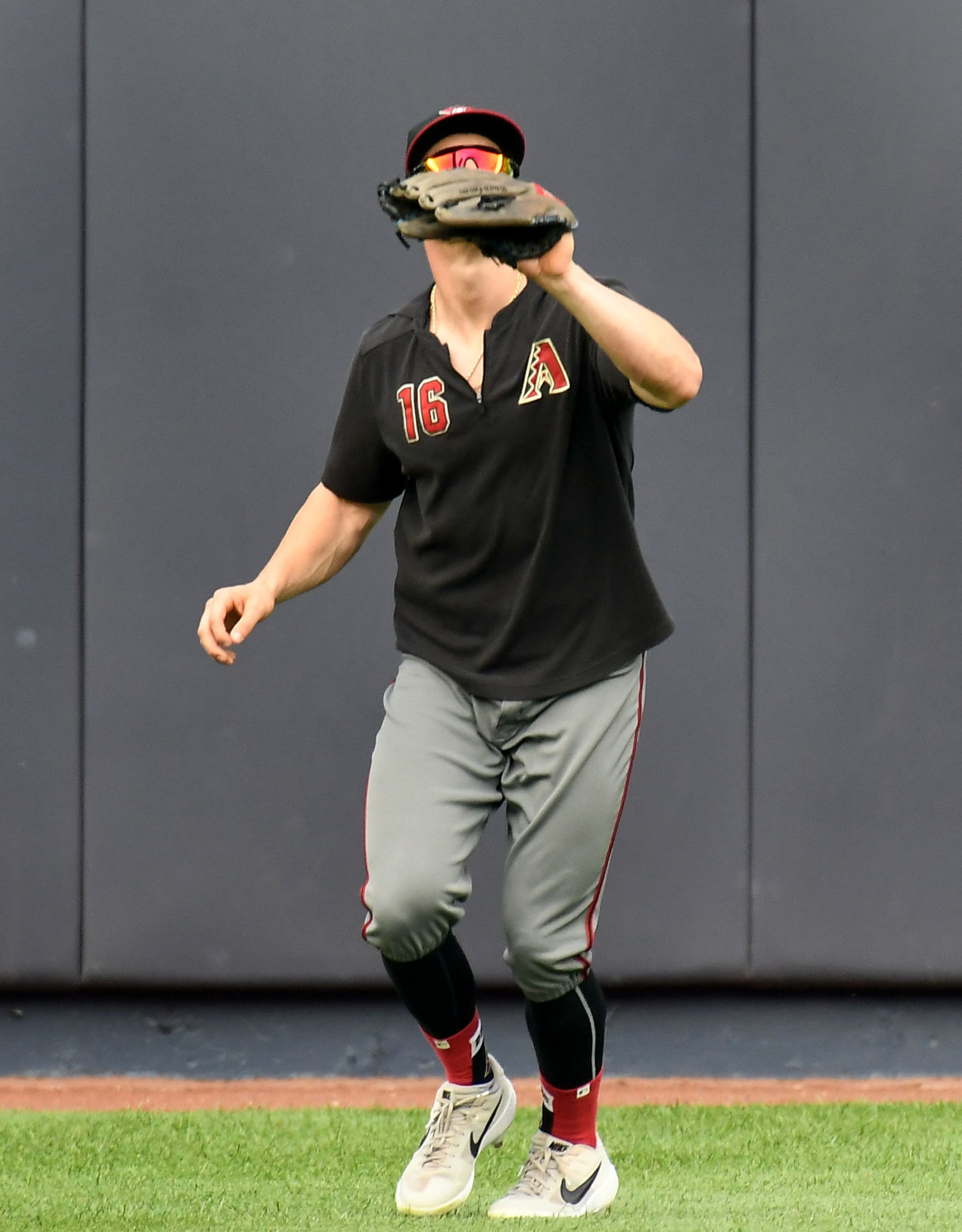 Tim Locastro 3.JPG